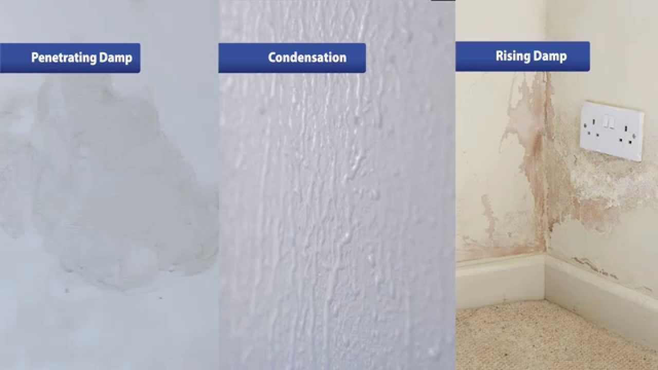 Penetrating damp walls treatment