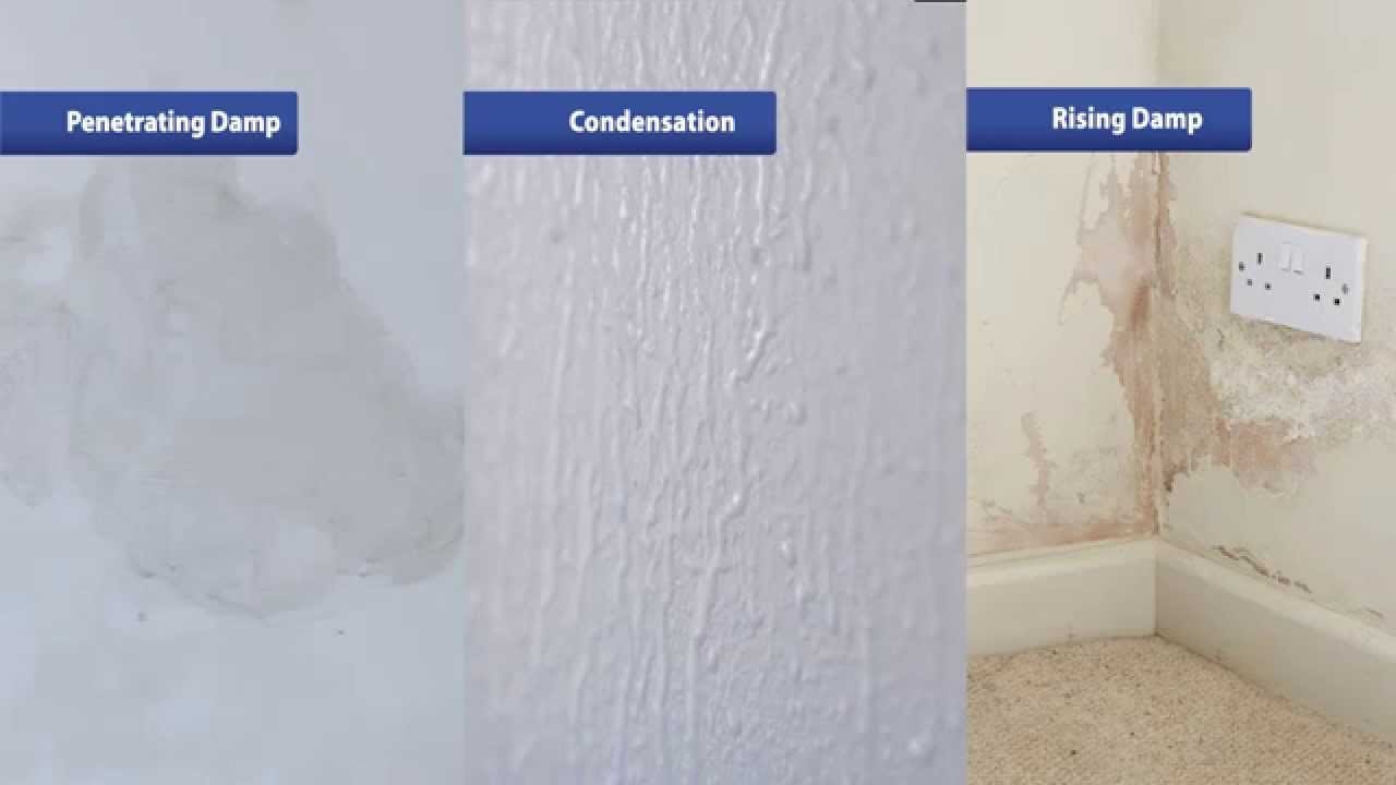 Why Damp Proofing is Important and How to Address it Using Specialists